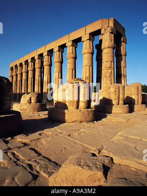 Licht des frühen Morgens auf der Kolonnade von Steinsäulen im Luxor-Tempel-Ägypten Stockfoto