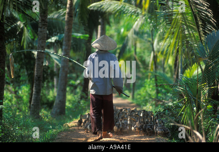 Landarbeiter mit Herde von Enten Ben Tre Provinz Mekong Delta Vietnam Stockfoto