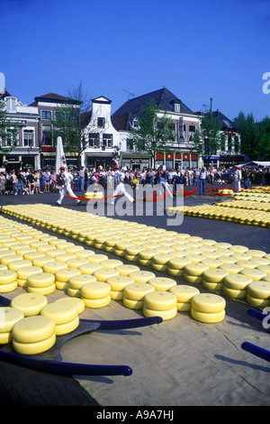 TRÄGER MIT TRÄGER FREITAG KÄSE MARKT ALKMAAR NIEDERLANDE Stockfoto