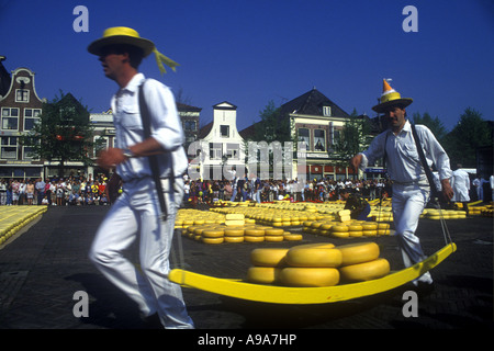 TRÄGER MIT TRÄGER FREITAG KÄSE MARKT ALKMAAR NIEDERLANDE Stockfoto