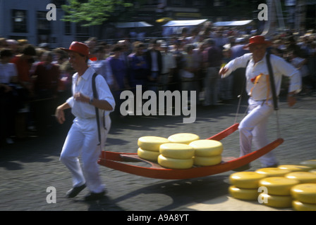 TRÄGER MIT TRÄGER FREITAG KÄSE MARKT ALKMAAR NIEDERLANDE Stockfoto