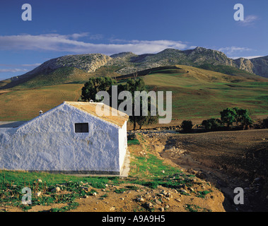 Einsamen weißen gewaschenen Bauernhof Gebäude mit felsigen Hügeln hinter in der Serrania de Ronda Südspanien Stockfoto