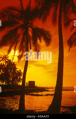 PALM BÄUME HALE O KEAWE HEIAU TEMPEL ORT DER ZUFLUCHT PU UHONUA O HONAUNAU HISTORISCHEN PARK BIG ISLAND HAWAII USA Stockfoto