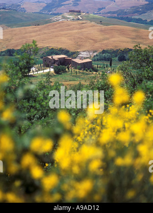 Toskanischen Aussicht südlich von Siena Italien Stockfoto