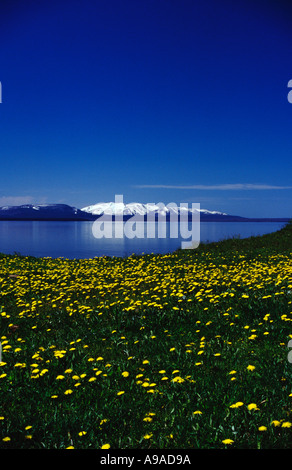 Sommer-Ansicht des Yellowstone Lake, Yellowstone-Nationalpark, Wyoming, USA Stockfoto