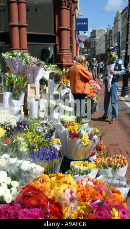 Marktstand Blumen in Dublin Irland Stockfoto