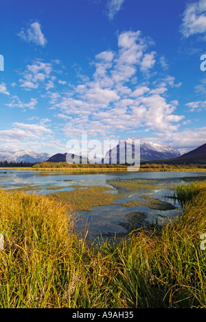 Mount Rundle erhebt sich über Banff Township von Vermillion Seen fahren Banff Nationalpark Kanada Nordamerika Alberta Stockfoto