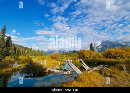 Mount Rundle erhebt sich über Banff Township von Vermillion Seen fahren Banff Nationalpark Kanada Nordamerika Alberta Stockfoto