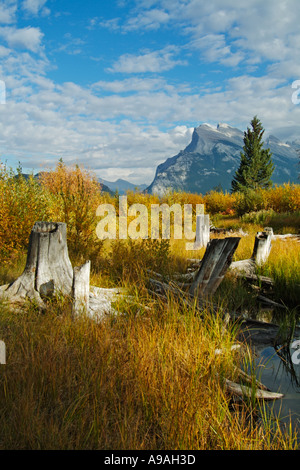 Mount Rundle erhebt sich über Banff Township von Vermillion Seen fahren Banff Nationalpark Kanada Nordamerika Alberta Stockfoto