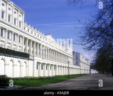 NARZISSEN FRÜHLING CUMBERLAND TERRASSE REGENTS PARK LONDON ENGLAND UK Stockfoto