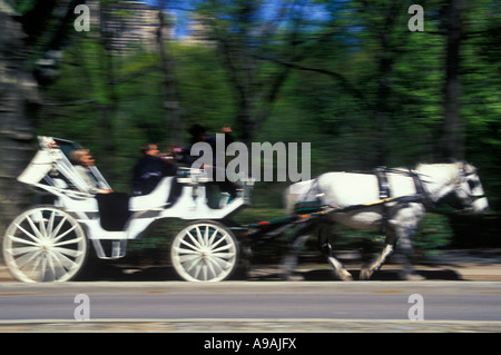 PFERD KUTSCHE CENTRAL PARK MANHATTAN NEW YORK CITY USA Stockfoto