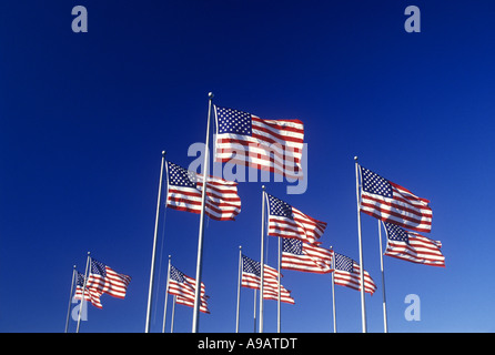 GRUPPE DER FLAGGEN DER VEREINIGTEN STAATEN VON AMERIKA AUF FAHNENMASTEN MIT BLAUEN HIMMEL FLIEGEN Stockfoto