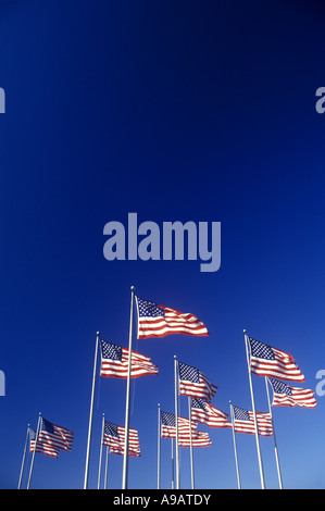 GRUPPE DER FLAGGEN DER VEREINIGTEN STAATEN VON AMERIKA AUF FAHNENMASTEN MIT BLAUEN HIMMEL FLIEGEN Stockfoto