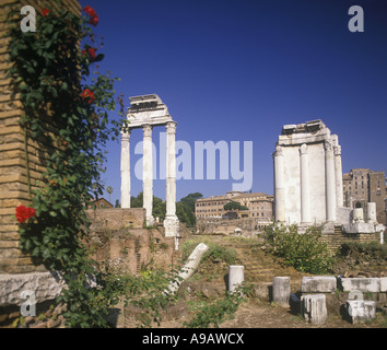 Rote Rosen Tempel von Castor und Pollux FORUM ROMANUM RUINEN ROM ITALIEN Stockfoto