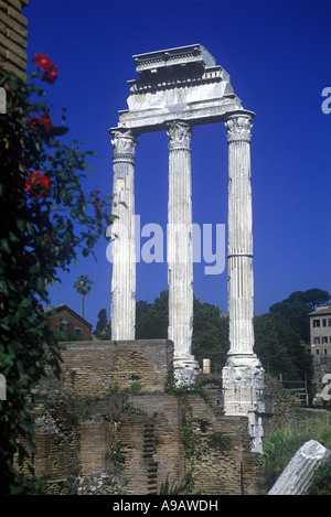 Rote Rosen Tempel von Castor und Pollux FORUM ROMANUM RUINEN ROM ITALIEN Stockfoto