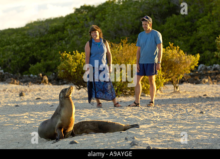 Latin America Südamerika Ecuador Galapagosinseln Isabelainsel paar Enjoing eine nahe Begegnung mit einigen Seelöwen Stockfoto