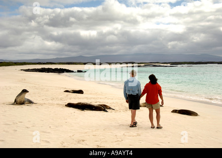 Latin America Südamerika Ecuador Galapagosinseln San Cristobal Insel paar hinunter weißer Sandstrand mit Seelöwen Stockfoto