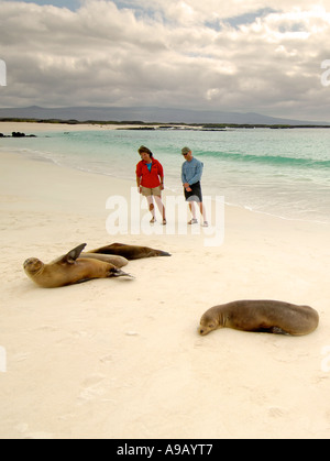 Latin America Südamerika Ecuador Galapagosinseln San Cristobal Insel paar hinunter weißer Sandstrand mit Seelöwen Stockfoto