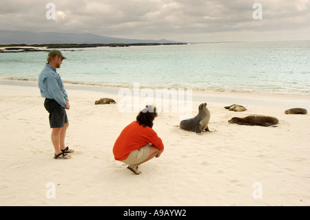 Latin America Südamerika Ecuador Galapagosinseln San Cristobal Insel paar hinunter weißer Sandstrand mit Seelöwen Stockfoto