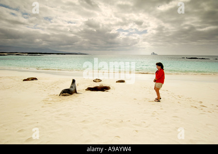 Latin America Südamerika Ecuador Galapagosinseln San Cristobal Insel Frau neben Seelöwen am weißen Sandstrand Stockfoto