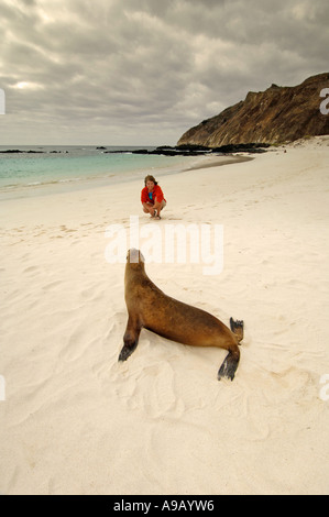 Latin America Südamerika Ecuador Galapagosinseln San Cristobal Insel Frau allein mit einem Seelöwen am weißen Sandstrand Stockfoto