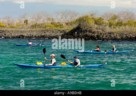 Südamerika Lateinamerika Ecuador Galapagosinseln Santa Cruz Island Menschen Seekajak in grünem Wasser entlang der Küste Stockfoto