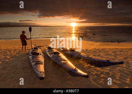 Südamerika Lateinamerika Ecuador Galapagosinseln Baltra Insel in der Nähe von Santa Cruz Island Tourist mit Paddel und Meer am Strand Stockfoto