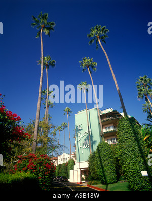 HOHE PALMEN DAS BEVERLY HILLS HILTON HOTEL BEVERLY HILLS LOS ANGELES KALIFORNIEN USA Stockfoto