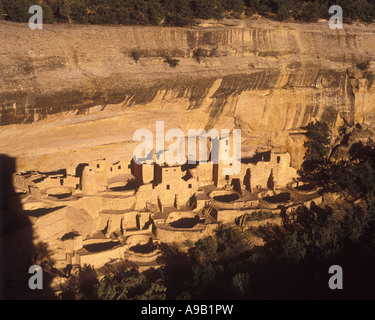 ANASAZI CLIFF PALACE RUINEN MESA VERDE NATIONALPARK CORTEZ COLORADO USA Stockfoto