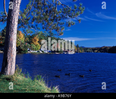 HERBST LAUB SEE BLUME SEE SARANAC ADIRONDACK PARK NEW YORK STATE USA Stockfoto