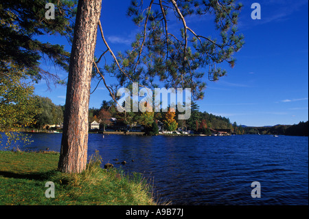 HERBST LAUB SEE BLUME SEE SARANAC ADIRONDACK PARK NEW YORK STATE USA Stockfoto