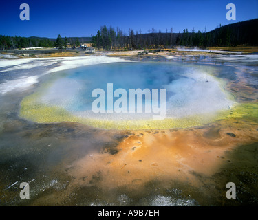 ALGEN IN GROßEN PRISMATISCHE FRÜHLING MIDWAY GEYSER BASIN YELLOWSTONE-NATIONALPARK WYOMING USA Stockfoto