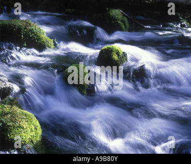 GRÜNES MOOS BEDECKT FELSEN IN DER MITTE DES WILDWASSER Stockfoto
