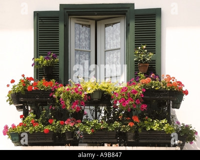 Frankreich Aquitaine Pyrenäen Atlantique zahlt baskische Landschaft in der Nähe von Bayonne Ainhoa Stadt nahe der spanischen Grenze Stockfoto