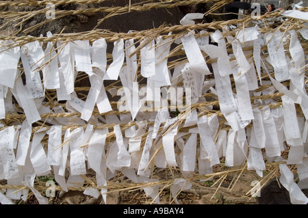 Wünsche gebunden, um einen Baum im Hahoe Folk Village in Andong, Südkorea. Stockfoto