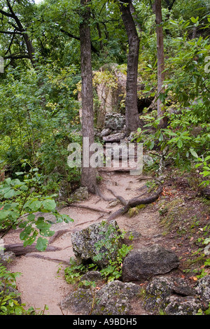 In Texas Trail, Rinde Blüte Branch Bush camp Tag Schmutz Disco Volante Wald grün grün Wachstum Wanderung Wandern Dschungel Blatt Blätter Stockfoto