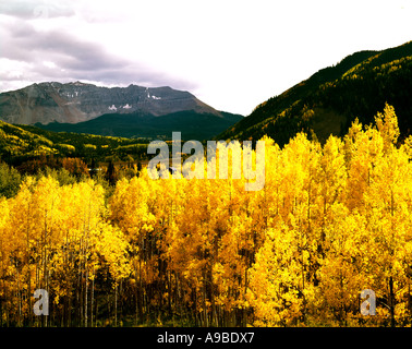 Herbst Farben Offset grüne Täler und blassen Himmel in der Nähe von Telluride im südwestlichen Colorado Stockfoto