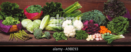 Landwirtschaft - Bio-Gemüse, im Studio gemischt: Spargel, Brokkoli, Blumenkohl, Karotten, grüne Zwiebeln, Salat, Spinat Stockfoto