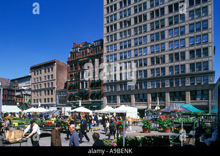 UNION SQUARE GREENMARKET MANHATTAN NEW YORK CITY USA Stockfoto