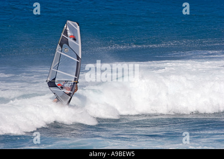 Windsurfer in Maui Hawaii Stockfoto