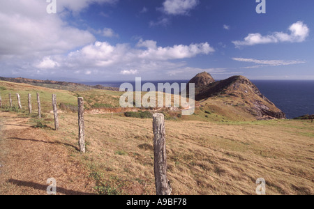 Felder-Küste an der nordwestlichen Küste von Maui Hawaii USA Kahakuloa Stockfoto