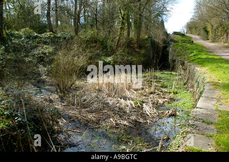 Verfallenen eröffnete Crumlin Arm des Monmouthshire und Brecon Canal bei vierzehn sperrt 1799 in der Nähe von Newport South Wales UK Stockfoto