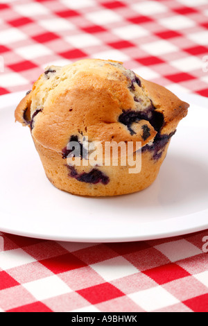 Sehr lecker und frisch zubereiteten Blueberry muffin Stockfoto