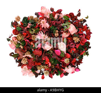 Schöne trockene Blumenarrangement isoliert auf weiss Stockfoto