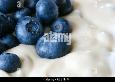 Nahaufnahme von frischen Heidelbeeren in Teig bald zu Kuchen oder Torte Stockfoto