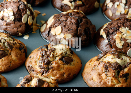 Sehr lecker und frisch zubereiteten chocolate und chocolate Chip muffins Stockfoto