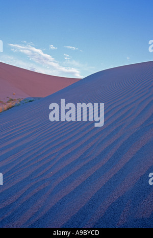 Sonnenuntergang Farben Sand bei Bruneau Dunes State Park, Idaho, USA Stockfoto