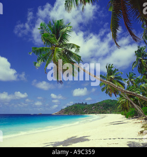 Suchen Sie entlang schöne geschwungene typisch tropischen einsamen Insel Stil Strand Anse Intendance Mahe Insel der Seychellen Stockfoto