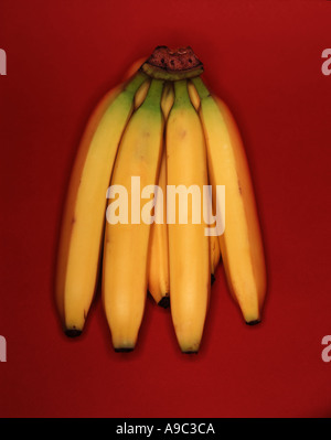 Bananen Stockfoto