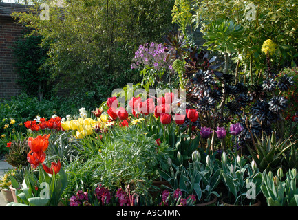 Eine Darstellung der Frühlingsblumen im Great Dixter Garden in Northiam, East Sussex. Stockfoto